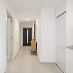 Leonardo